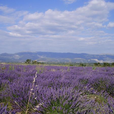 Hotel Du Moulin Allemagne-en-Provence Luaran gambar